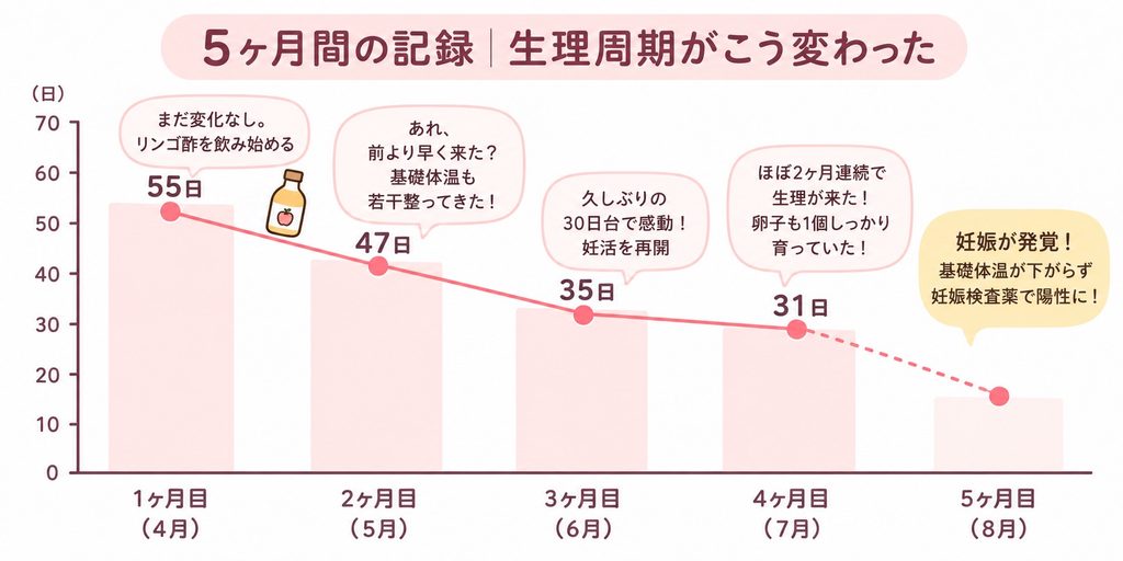 リンゴ酢を飲み始めてからの5ヶ月間で生理周期が2〜4ヶ月から35〜45日に変化したグラフ